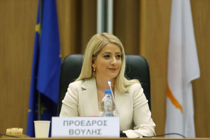 Αννίτα Δημητρίου: Η ΚΔ απορρίπτει κάθε σκέψη για αλλαγή της βάσης διαπραγμάτευσης για το Κυπριακό
