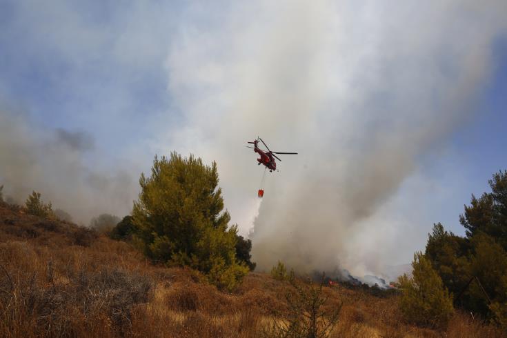 Πάφος: Ισχυρές δυνάμεις επιχειρούν για καταπολέμηση δασικής πυρκαγιάς στην Ανδρολύκου