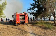 Πάφος: Υπό πλήρη έλεγχο τέθηκε δασική πυρκαγιά στην Κρήτου-Μαρόττου