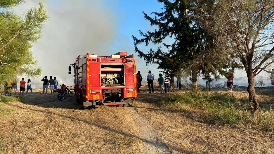 Πάφος: Τέσσερα δεκάρια άγρια χόρτα κατέκαψε πυρκαγιά στην Ίνεια