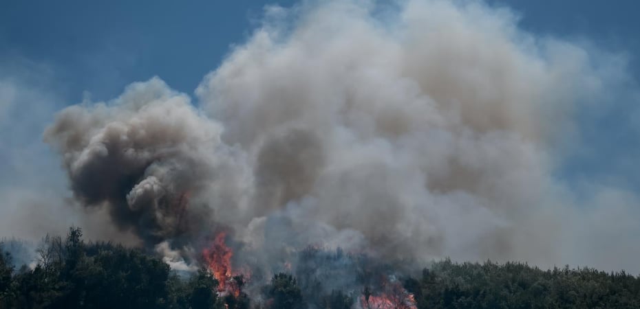 Φωτιά στο δάσος της Πάφου στην περιοχή Σταυροκόννου