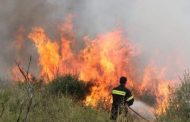 Πάφος: Υπό πλήρη έλεγχο δασική πυρκαγιά σε περιοχή της κοινότητας Ίνιας