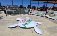 Πάφος: Οικολογικές οργανώσεις και ενεργοί πολίτες αξίωσαν την προστασία της χερσονήσου του Ακάμα
