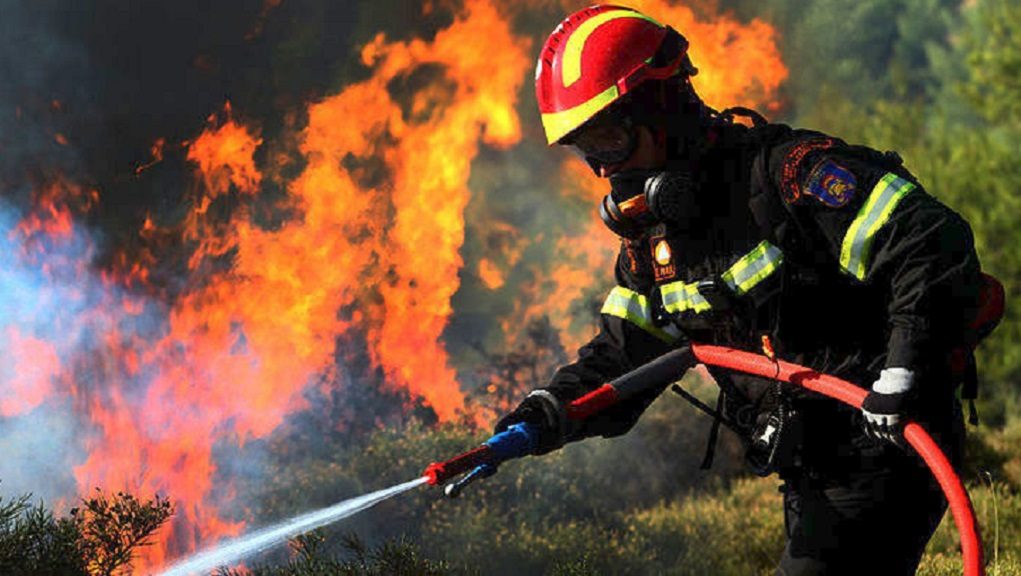 Πυρκαγιά στην Ίνεια-Τέθηκε υπό έλεγχο από την Πυροσβεστική