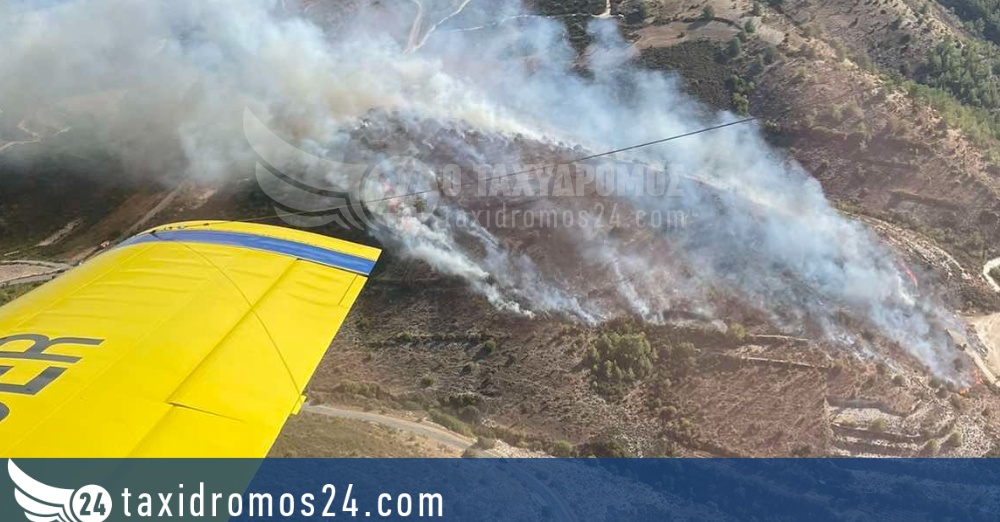 ΕΚΤΑΚΤΟ: Πυρκαγιά απειλή το Δάσος της Πάφου… Mεγάλη κινητοποίηση των Αρχών – ΦΩΤΟ