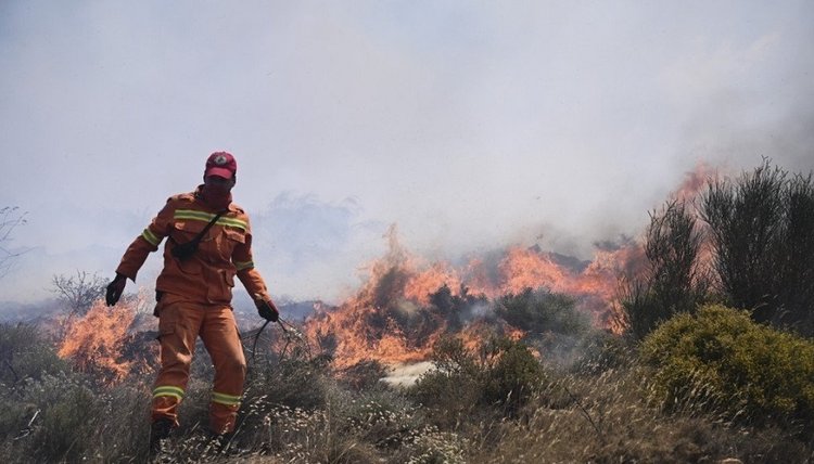 Έλαβαν αποφάσεις οι αρμόδιες αρχές για την πρόληψη πυρκαγιών στην Πάφο