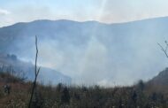 Πάφος: Υπό έλεγχο φωτιά στην Αναρίτα