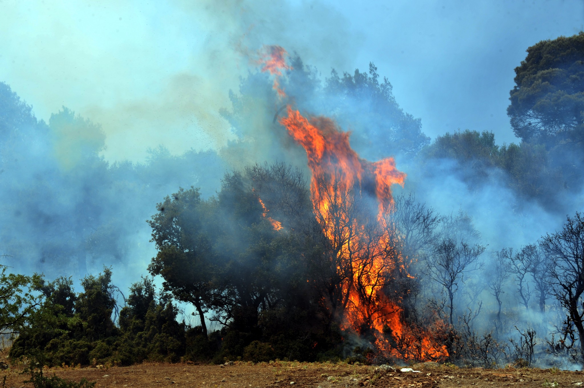 Σε εξέλιξη φωτιά μεταξύ των κοινοτήτων Γουδί