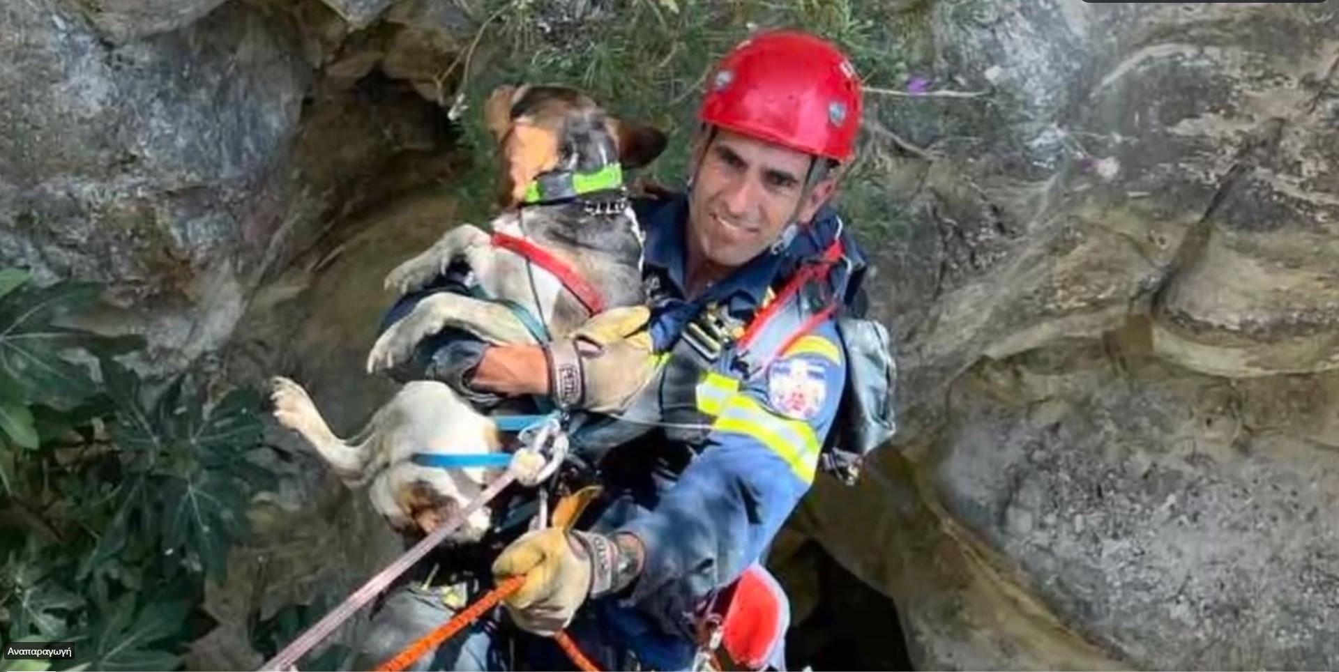 Πάφος: Συντονισμένη επιχείρηση από την Πυροσβεστική για διάσωση σκύλου που έπεσε σε χαράδρα