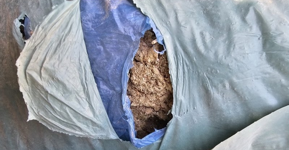 Πάφος: Εντοπίστηκαν 12,5 κιλά κοκαΐνης και 27 κιλά κάνναβης - Χειροπέδες σε 2 πρόσωπα  