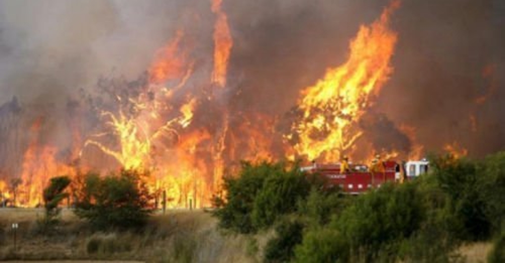Πάφος: «Πολύ δύσκολη» η φωτιά στο κρατικό δάσος της Πάφου