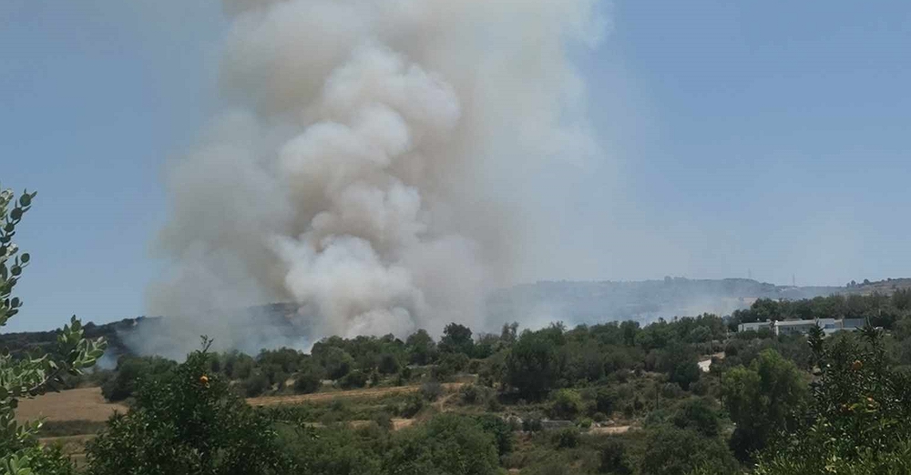 Πάφος: Προστατεύθηκε το καταφύγιο ζώων στην Γιόλου από την πυρκαγιά - Φώτο, Βίντεο