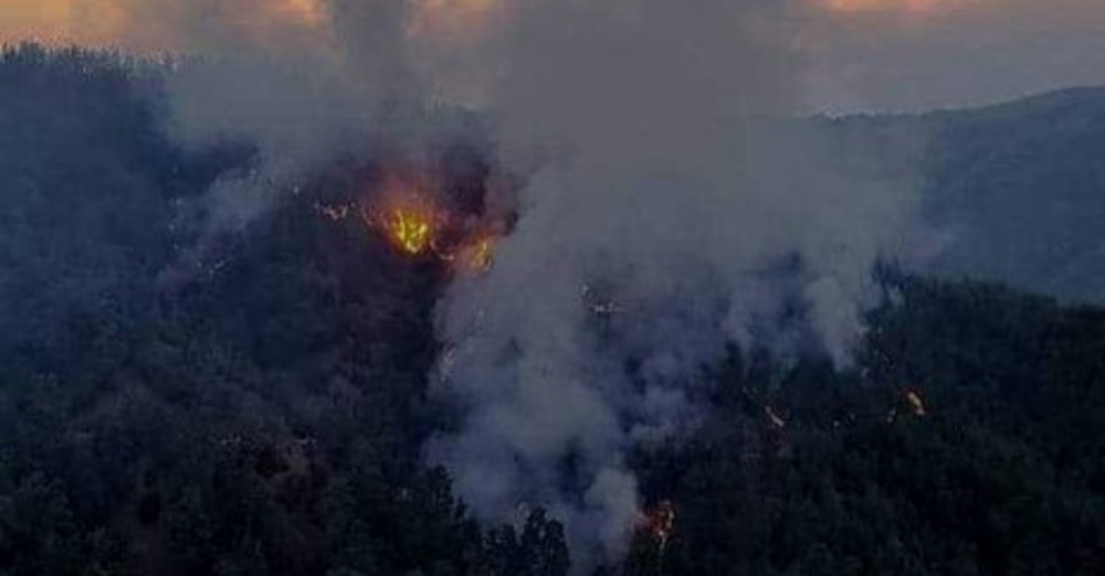 Πάφος – Πυρκαγιά: Αναμένει το αποτέλεσμα της έρευνας για το δάσος της Πάφου η Κυβέρνηση