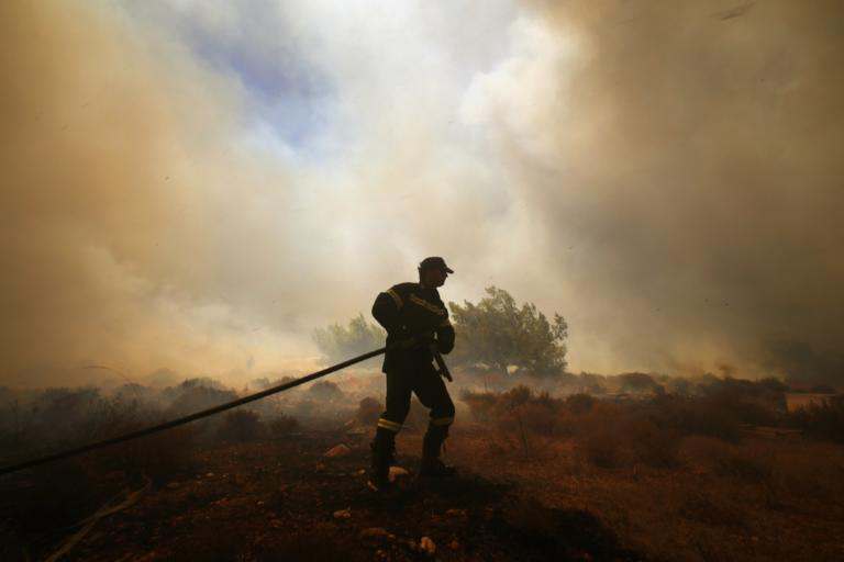 ΠΑΦΟΣ-Βιβλική καταστροφή: Η φωτιά έκαψε 20 εκτάρια