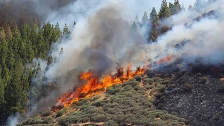 Ευχαριστίες ΠΑΣΥΕΚ-ΠΕΟ για την κατάσβεση πυρκαγιάς στο Κρατικό Δάσος Πάφου