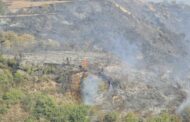 Πάφος: Υπό πλήρη έλεγχο δασική πυρκαγιά στην Ίνεια