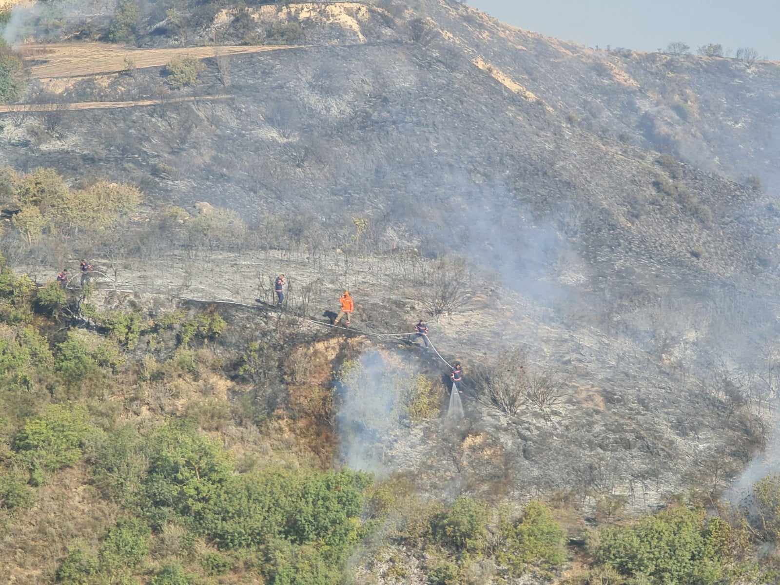 Πάφος: Υπό πλήρη έλεγχο δασική πυρκαγιά στην Ίνεια