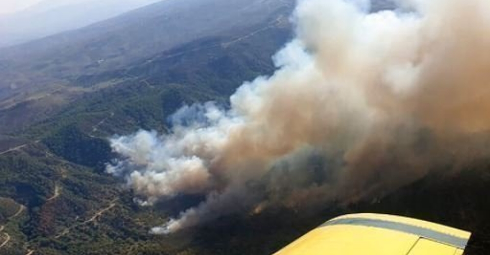 Πάφος: Πυρκαγιά στο Δάσος Ακάμα-Στη μάχη δύο εναέρια μέσα