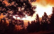Πάφος: Σε εξέλιξη φωτιά στην περιοχή Κοίλης – Αγίου Νεοφύτου