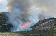 Πάφος: Φωτιά σε περιοχή μεταξύ Αγίου Ιωάννη και Σαλαμιού με άγρια βλάστηση