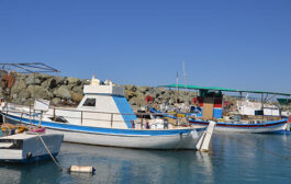 Α. Τρυφωνίδης: Το 2025 η ολοκλήρωση μελέτης για αλιευτικό καταφύγιο Κ. Πύργου