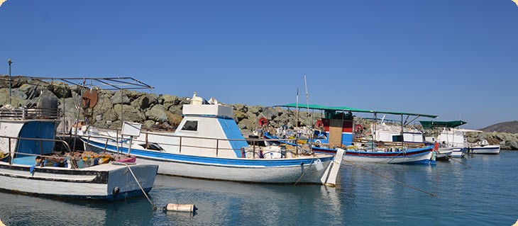Α. Τρυφωνίδης: Το 2025 η ολοκλήρωση μελέτης για αλιευτικό καταφύγιο Κ. Πύργου