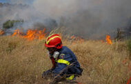Πάφος: Υπό πλήρη έλεγχο δασική πυρκαγιά στη τοποθεσία «Ασπρόμαντρες» της Αναρίτας