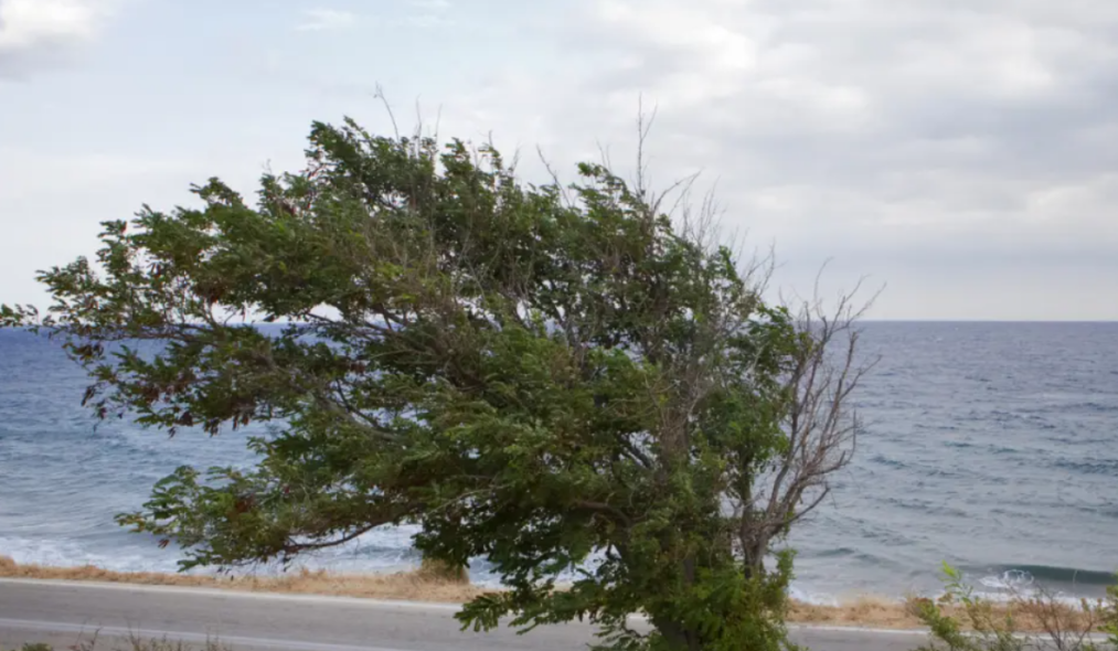 Καιρός: Βροχές και ισχυροί άνεμοι - Στους 26 βαθμούς η θερμοκρασία