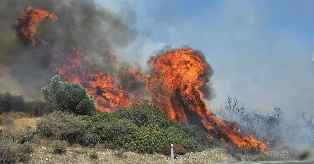 Υπό πλήρη έλεγχο δασικές πυρκαγιές στις κοινότητες Φύτη και Καμπιά