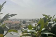Καιρός: Στην ατμόσφαιρα θα αιωρείται σκόνη μέχρι και αύριο – Στους 38 βαθμούς το θερμόμετρο