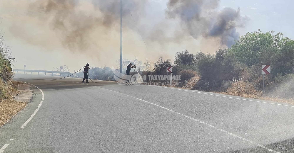 Έκτακτο: Πυρκαγιά απειλεί το δάσος «Πυκνής» - Φώτο, Βίντεο