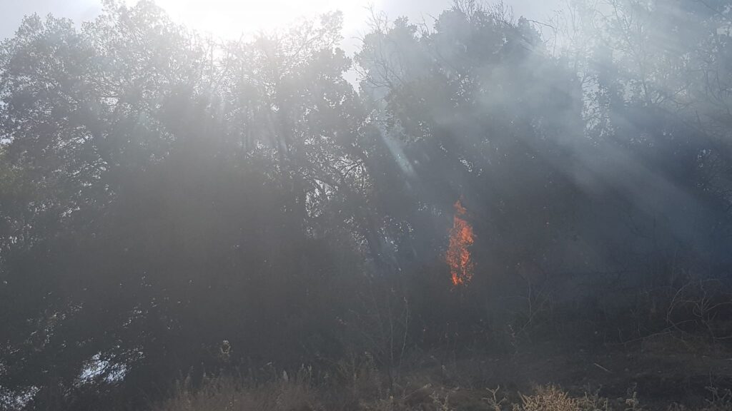 Η ΕΕ ενεργοποίησε τον μηχανισμό πολιτικής προστασίας για την πυρκαγιά στην Πάφο, είπε ο Λέναρτσιτς Η ΕΕ ενεργοποίησε τον μηχανισμό πολιτικής προστασίας για την πυρκαγιά στην Πάφο, είπε ο Λέναρτσιτς