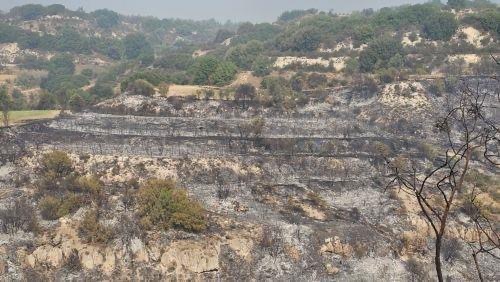 Υπουργός Γεωργίας: Άμεση και πλήρης αποζημίωση αγροτών που επηρεάστηκαν από πυρκαγιές