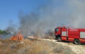 Υπό πλήρη έλεγχο δασική πυρκαγιά στην Δρούσεια
