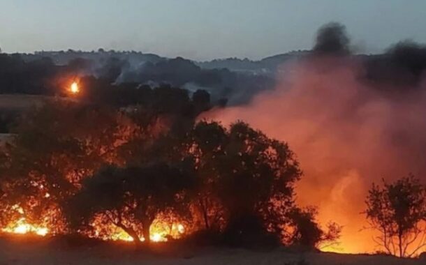 Πυρκαγιά στα όρια της Δρούσειας έθεσε υπό έλεγχο χθες βράδυ το Τμήμα Δασών
