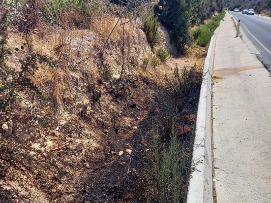 Πάφος: Παράδειγμα προς μίμηση