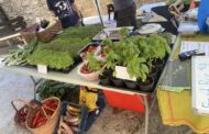 Πάνω Ακουρδάλια: Το πρώτο παζαράκι ( farmers market)