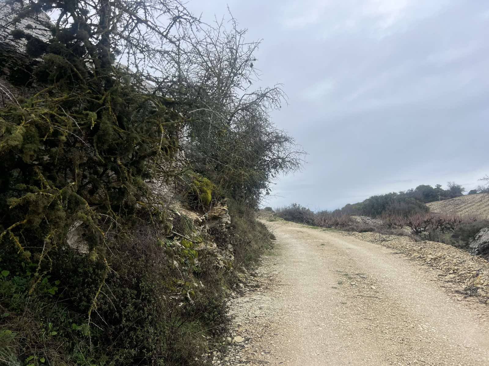 Καθυστέρηση στην αποπεράτωση δρόμων στον Δ. Ακάμα διαπιστώνει ο Αντιδημ. Π. Αρόδων