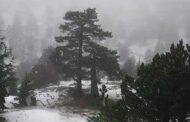 Κρύο, βροχές, χιόνια και χειμωνιάτικη ατμόσφαιρα στο μενού του καιρού