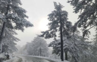 Κλειστοί οι δρόμοι προς Τρόοδος λόγω παγετού, βελτίωση καιρού μέχρι το απόγευμα