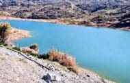 Κατάλληλο για επανεποίκηση φρουτονυχτερίδας το φράγμα Μαυροκόλυμπου, λέει το Τμ. Περιβάλλοντος