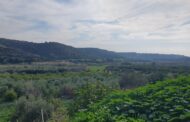 Νερό για άρδευση ζητούν οι κοινότητες Διαρίζου, λέει ο Κοινοτάρχης Αρμίνου