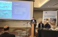 Εκδήλωση για τη Μεσογειακή φώκια «Ένα εμβληματικό είδος της Μεσογείου – Παρελθόν, Παρόν και Μέλλον»
