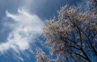 Θερμός καιρός το επόμενο διάστημα στην Κύπρο