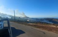 Υπό πλήρη έλεγχο δασική πυρκαγιά σε περιοχή της Κοινότητας Ίνειας