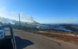 Δασική πυρκαγιά στην Ίνια έκαψε 2 δεκάρια με θαμνώδη βλάστηση