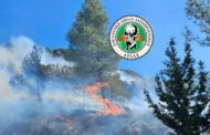 Φωτιά στην Παναγιά: Σε συναγερμό το Τμήμα Δασών – Μάχη με τις φλόγες στην περιοχή