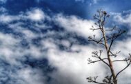 Σκόνη στην ατμόσφαιρα και από αύριο πτώση με βροχές