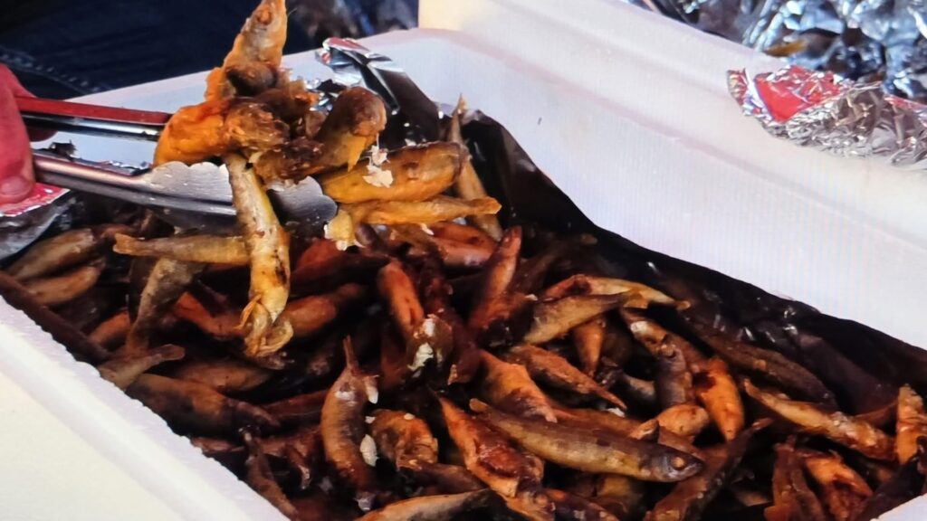 Ολοκληρώθηκαν οι προετοιμασίες για το 1ο φεστιβάλ Ψαριού στον Αγ. Γεώργιο Πέγειας