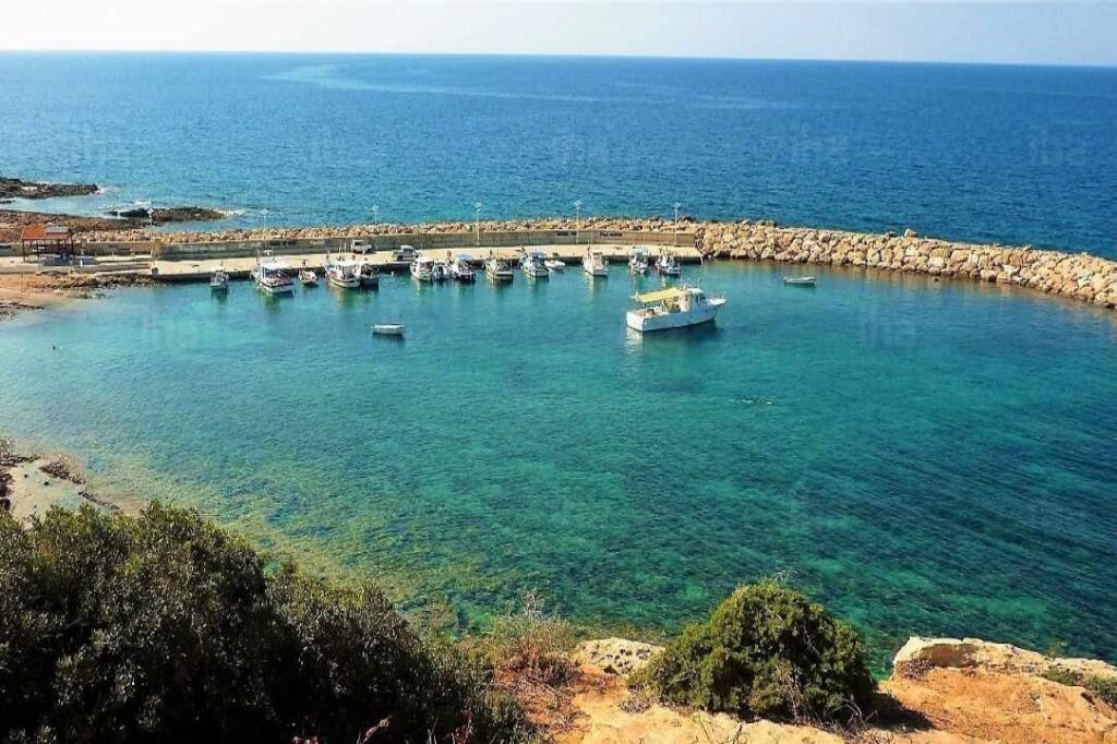 1ο Φεστιβάλ Ψαριού στην Πέγεια